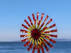 -悦海公园