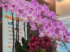 -TSK齿科德申会口腔门诊·联洋诊所