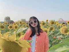 -映月湖中央公园