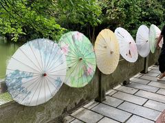 -广西壮族自治区药用植物园