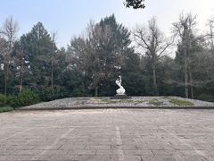 -杭州植物园