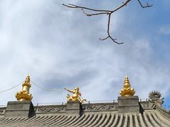 -护国法轮寺