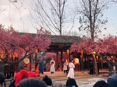 -中国翰园碑林