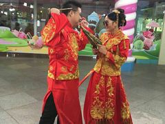 -百万葵园