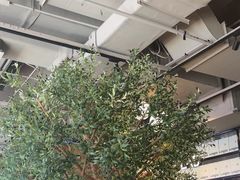 -Wagas沃歌斯(环贸店)