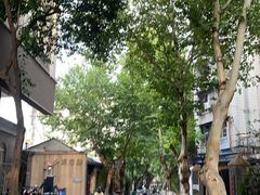 -院8里·少城记忆老川菜(宽窄巷子店)