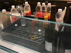 -黑松白鹿(金融街店)