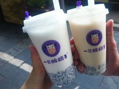 -一只酸奶牛(八一路店)