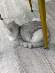 -明天见·化妆造型工作室