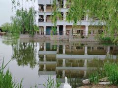 -古塔公园