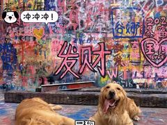 -黄桷坪涂鸦艺术街