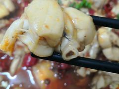 -专业跳跳蛙·彭彭老铺(步行街店)