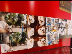 -H立方实景剧情密室(天河旗舰店)