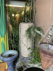 -威思丽高温瑜伽会馆