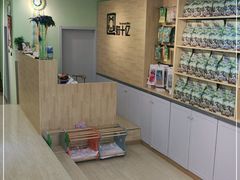 -猫十亿·布偶金渐层·曼基康矮脚猫舍(青年路店)