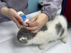 -贝康宠物医院·犬猫全科·小动物特色诊疗中心(东环路店)