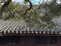 -宁波市保国寺古建筑博物馆