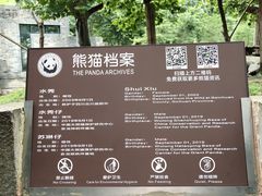 -都江堰中华大熊猫苑