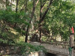 -北京上方山国家森林公园