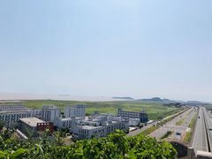-洋山深水港