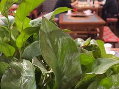 -陈府大宅门成都火锅·手切鲜肉(太原街店)
