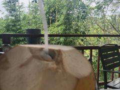 -万兴启丰椰子文化园餐厅