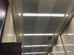 -南宁国际会展中心(会展东博文化旅游区)