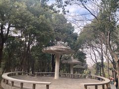 -合肥野生动物园