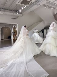 -艾米丽婚纱礼服