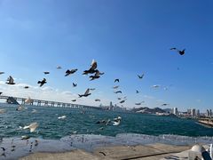 -星海广场