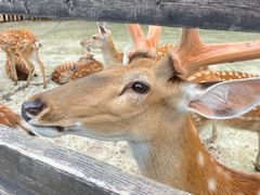-泗洪洪泽湖湿地景区