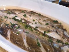 太湖白鱼-华庭苑农家乐(旺山店)