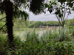 -西溪国家湿地公园