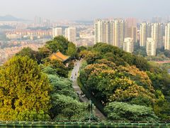 -阅江楼风景区