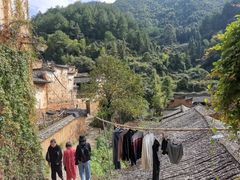 -杨家堂村
