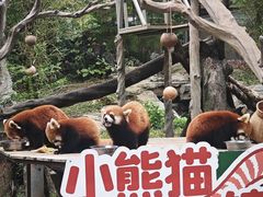 -广州动物园