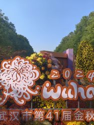 -頤霞古方美容养生