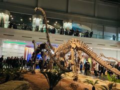 -自贡恐龙博物馆