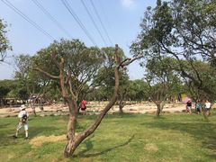 -长洲岛都市农业公园