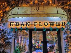 -常熟路(地铁站)