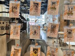 -藏猫猫咖啡主题馆(中央大道店)