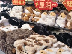 -京北大世界