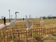 -银滩滨海旅游度假区