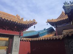 -五台山风景名胜区-罗睺寺