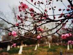-白塘生态植物园