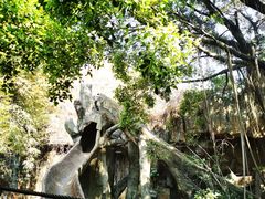 -长鹿旅游休博园