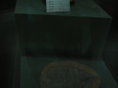 -金钉子远古世界景区