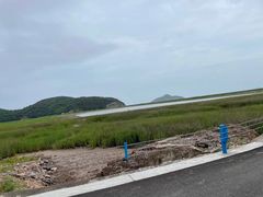 -花岙岛