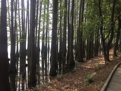 -东湖落雁景区