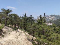 -九龙池景区